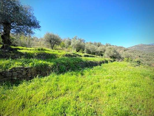 DA1003_08_TERRA ITALIA IMMOBILIEN_REAL ESTATE_LAND