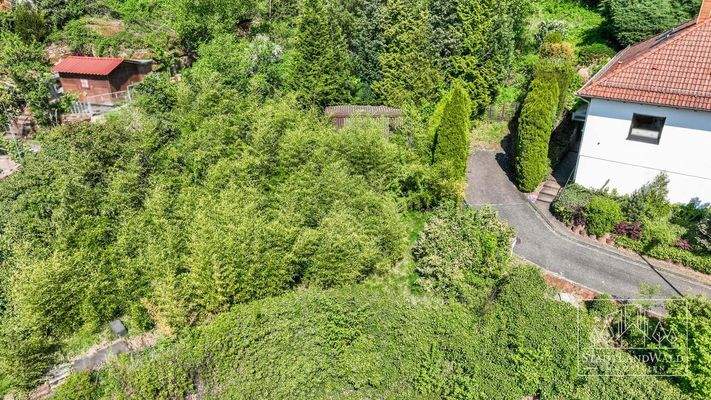 Luftaufnahme_Lemberg_BP_Schafalm 14