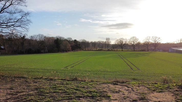 Blick in die Feldmark