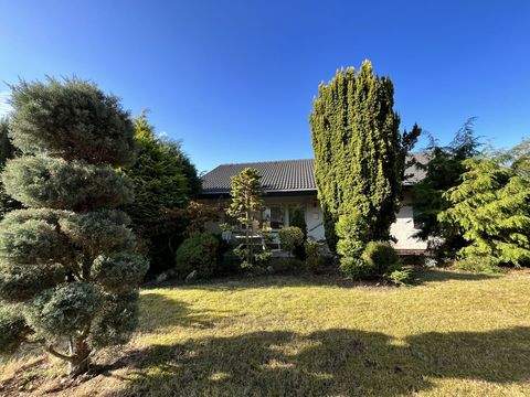 Habichtswald Häuser, Habichtswald Haus kaufen