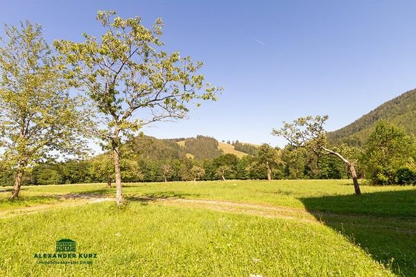 Bauernhof im Chiemgau Immobilien-Kurz-Salzburg