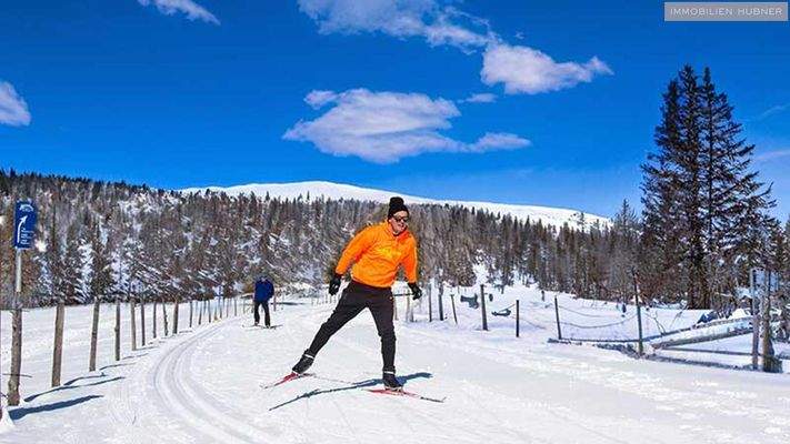 Langlaufen © Franz Gerdl