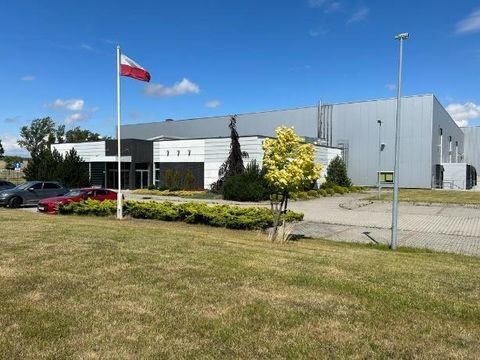 Bardo Halle, Bardo Hallenfläche