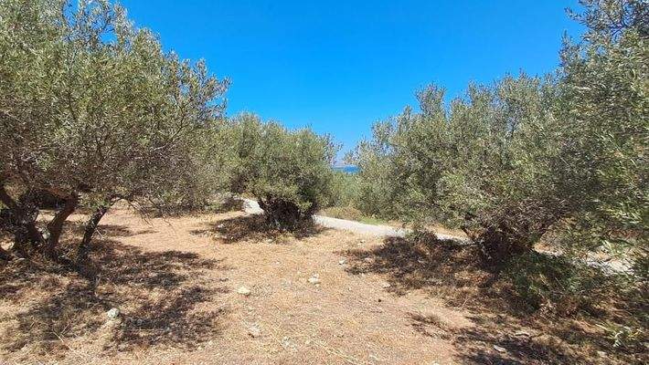 Kreta, Plaka: Zwei erstklassige Grundstücke in Plaka – Meerblick und zentrale Lage