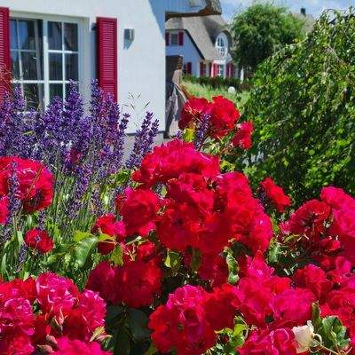 Liebevoll angelegte Beete