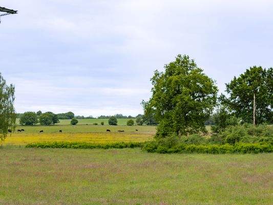 Idyllische Feldrandlage