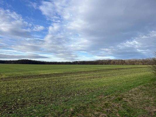 Landwirtschaftsfläche_4