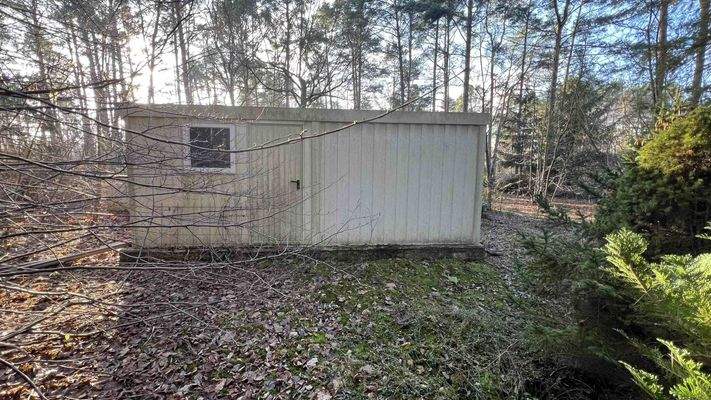 1123-2024-12-15 043.jpg