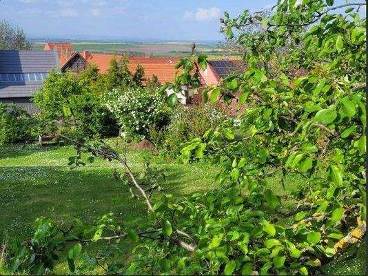 ea44fe39149a017bcb956ab4d87642