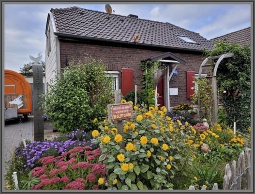 Blumenmeer