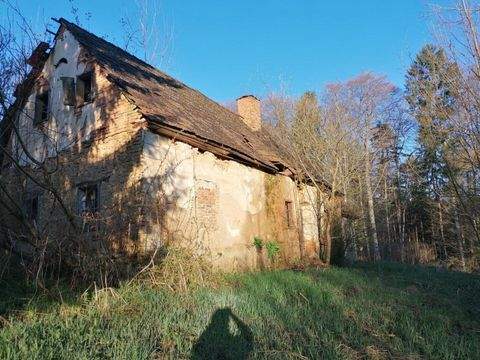 Sankt Nikolai im Sausal Häuser, Sankt Nikolai im Sausal Haus kaufen