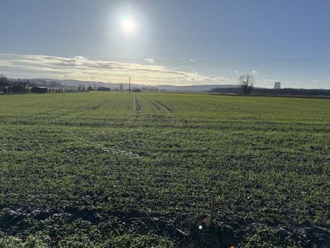 Postau-Grießenbach Grundstücke, Postau-Grießenbach Grundstück kaufen