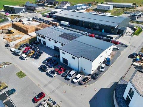 Erbach Halle, Erbach Hallenfläche