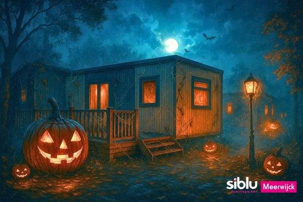 Ferienhaus Kaufen Friesland02