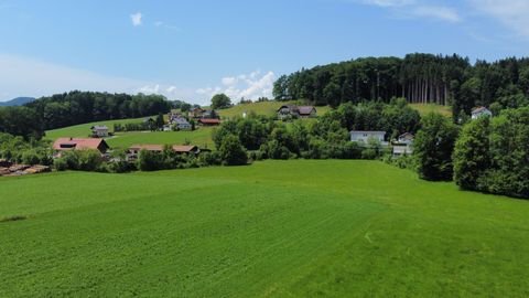 Hallwang Wohnungen, Hallwang Wohnung kaufen