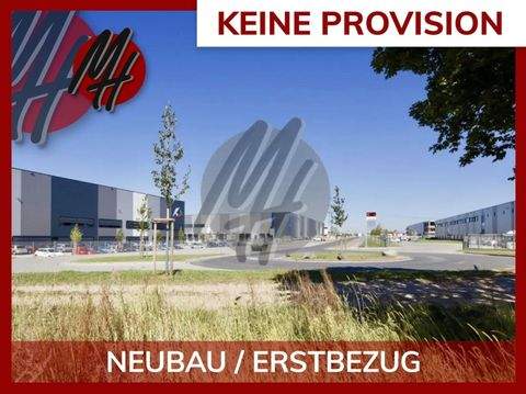 Rostock Halle, Rostock Hallenfläche