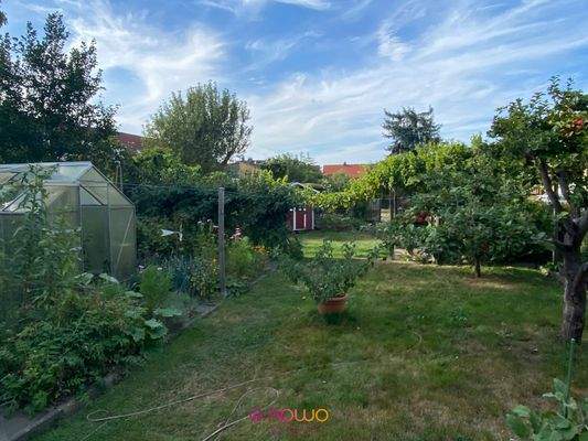 Garten mit Gewächshaus