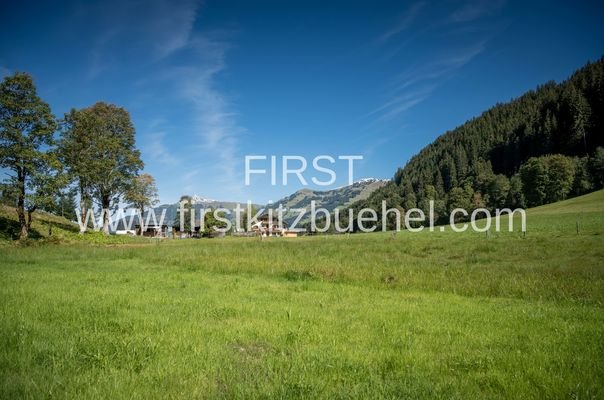 Aussicht_Timeless_Jochberg_Waldhausbichl