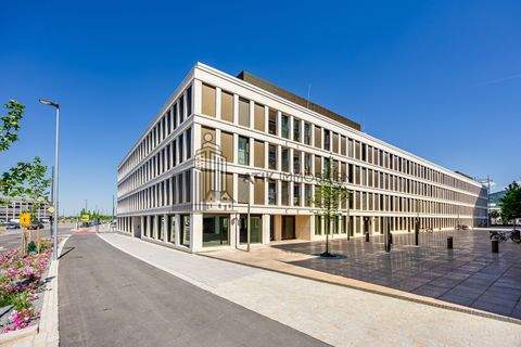 Heidelberg Ladenlokale, Ladenflächen 