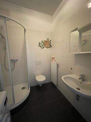 IMG_7339 IMS IMMOBILIEN KG LEOBEN