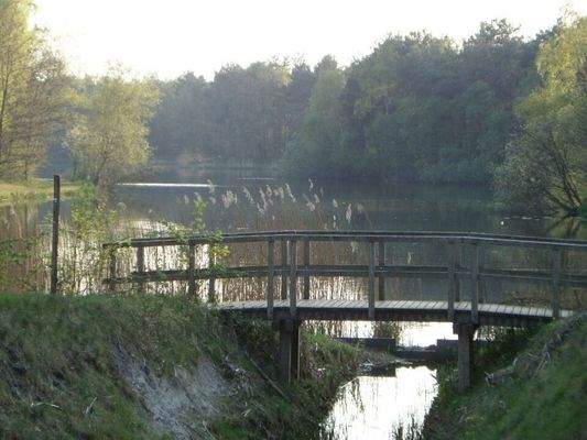 Ferienhaus Holland kaufen 012