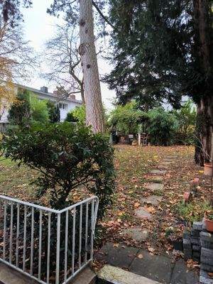 23. Allgemeingarten.jpg