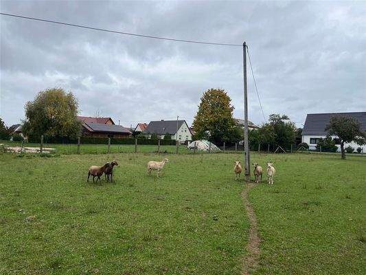 nordöstlicher Blick