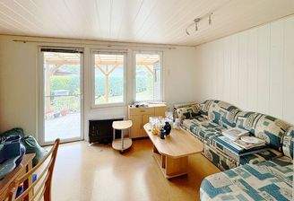 ...von hier raus auf die überdachte Terrasse