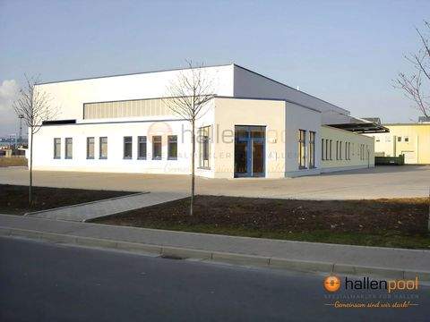 Nordhausen Halle, Nordhausen Hallenfläche