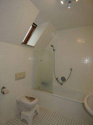 Wanne mit Duschabtrennung