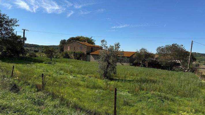 1A4241C4-64D1-4938-A993-DE71695B6C84_1_102_a