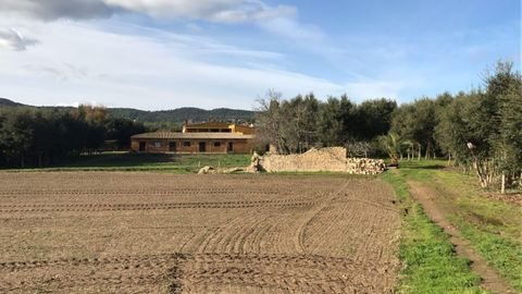 Palafrugell Häuser, Palafrugell Haus kaufen