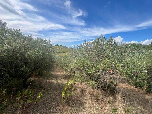 Grundstück Follonica Meerblick