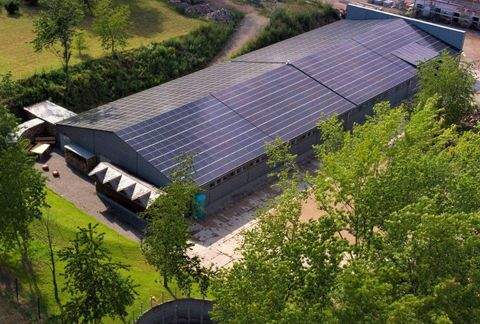 Rabenau Halle, Rabenau Hallenfläche