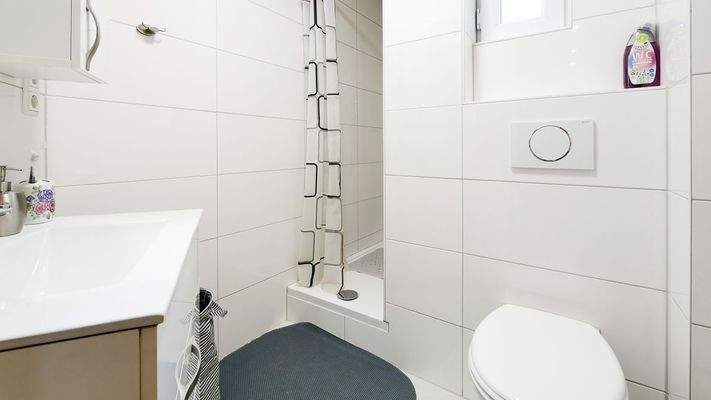 171 Tageslichtbad mit Dusche und WC (1 von 1).jpg