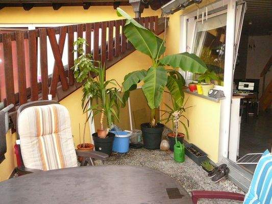 2013-08-06 19.12.33.jpg