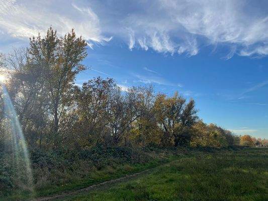 Hier geht es nach Mainz!