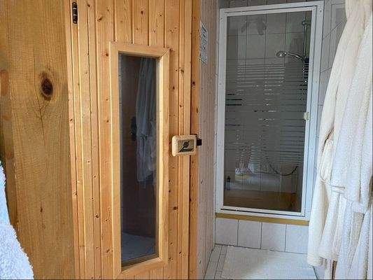 Sauna und Dusche (Badezimmer)