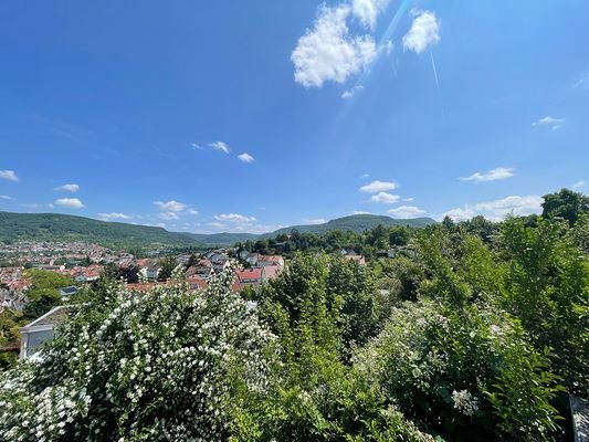 Aussicht Balkon Richtung West