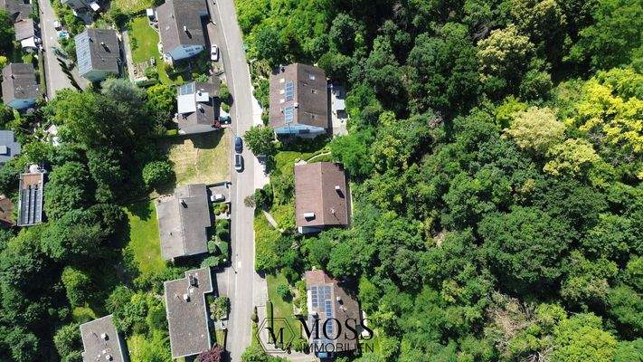 Grundstücksansicht von oben