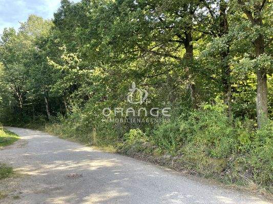 Gleich hinter dem MFH begoinnt die Natur