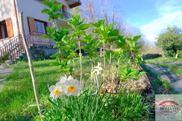 Rif 1510(Copy20).jpg