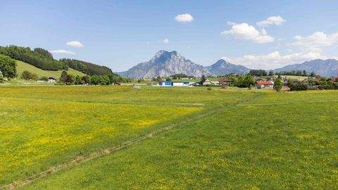 Altmünster am Traunsee Häuser, Altmünster am Traunsee Haus kaufen