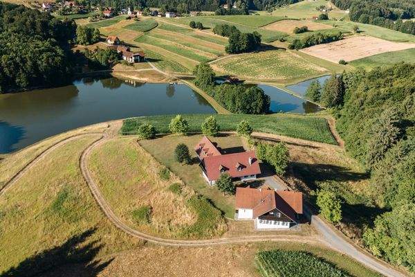 Pansy Haus Holzbauereggstraße 07 2025-5