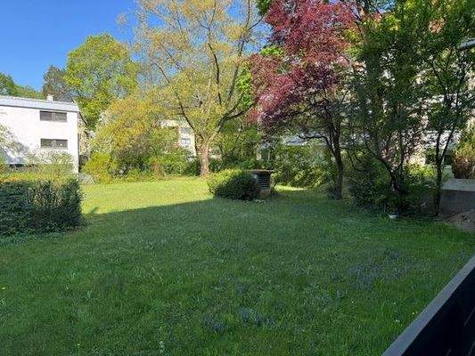 Weitläufiges_Grundstück