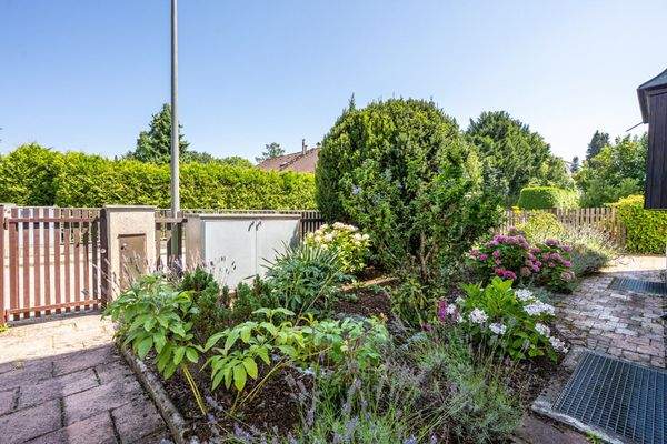 Eingang und Vorgarten