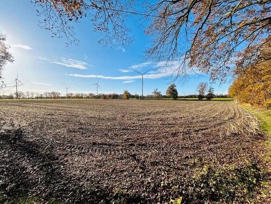 Blick übers Feld