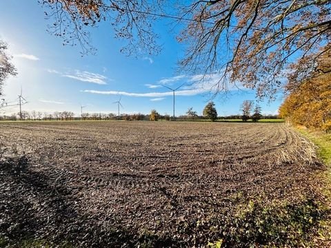 Rheine Bauernhöfe, Landwirtschaft, Rheine Forstwirtschaft