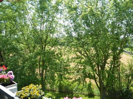 Ausblick 2