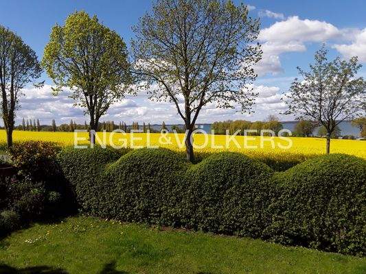 Garten mit Blick zum See